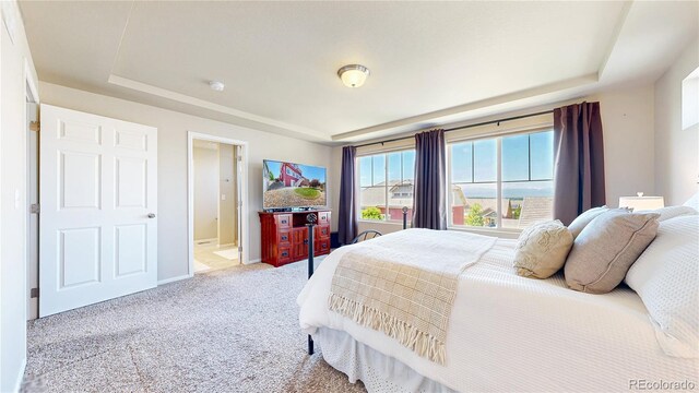 172 Painted Horse Way, Erie, CO 80516 - photo 17