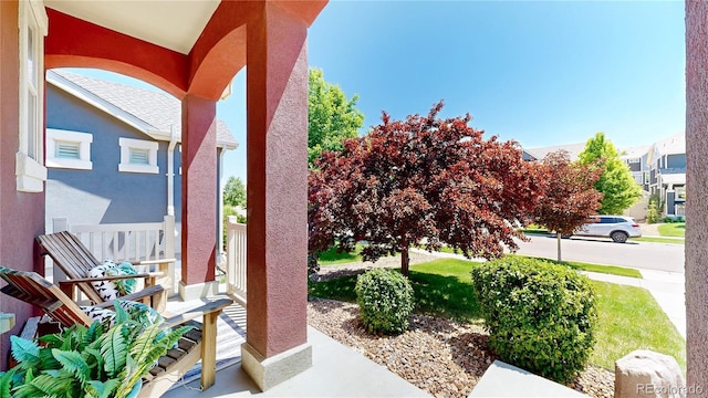172 Painted Horse Way, Erie, CO 80516 - photo 20