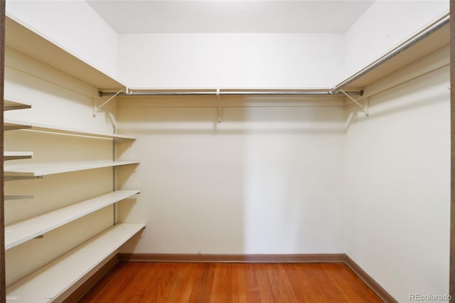 walk in closet featuring wood finished floors