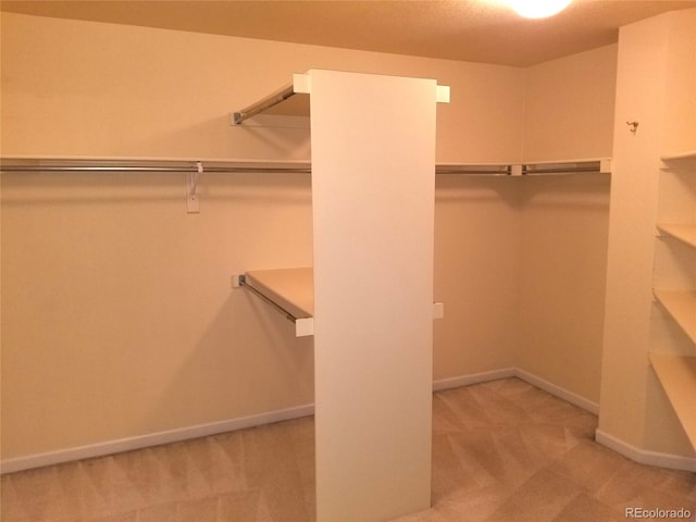 walk in closet with light carpet