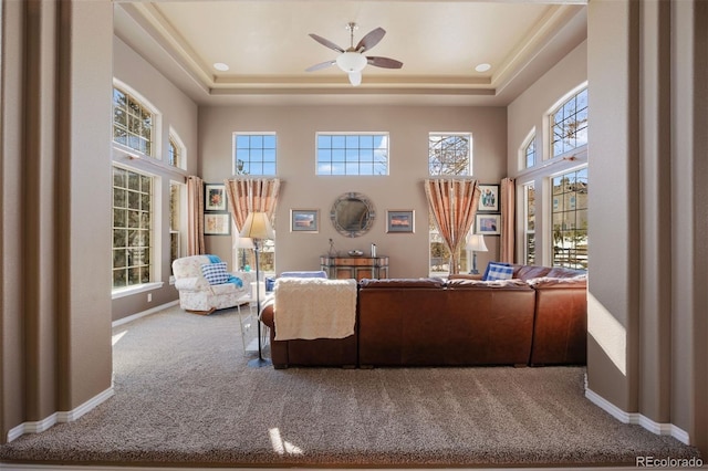 living room with a towering ceiling, carpet floors, and a raised ceiling