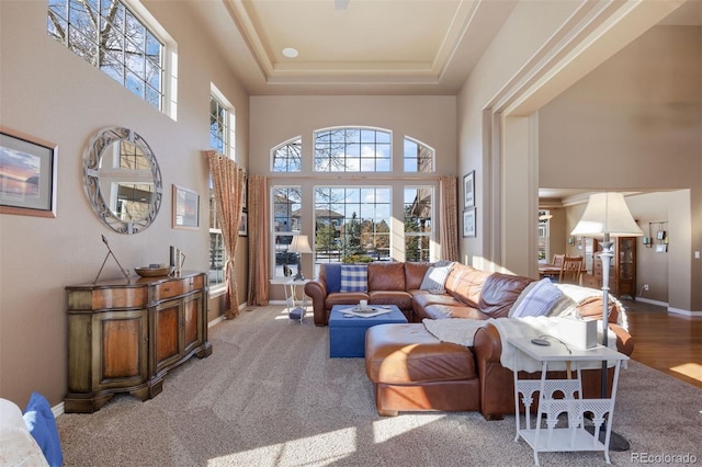 carpeted living room with a raised ceiling and a high ceiling