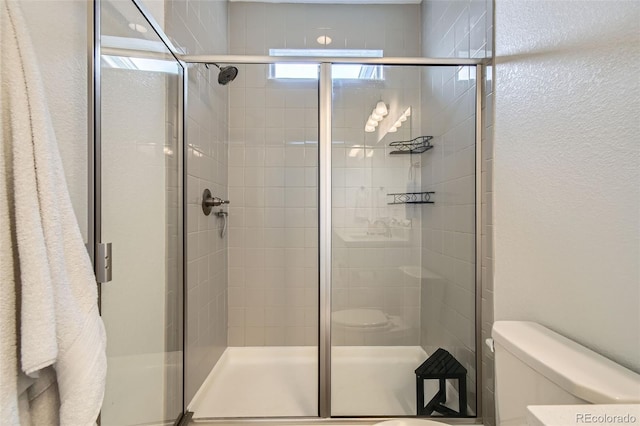 12345 Festival Ln, Thornton, CO 80241 - full bath featuring a stall shower