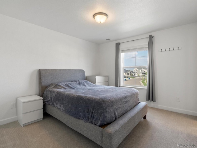 11007 Ouray St, Commerce City, CO 80022 - photo 17