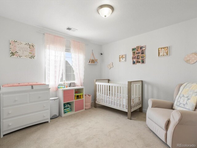 11007 Ouray St, Commerce City, CO 80022 - photo 27
