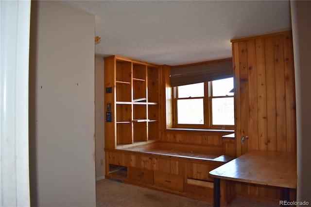 mudroom with light carpet, a textured ceiling, and wood walls