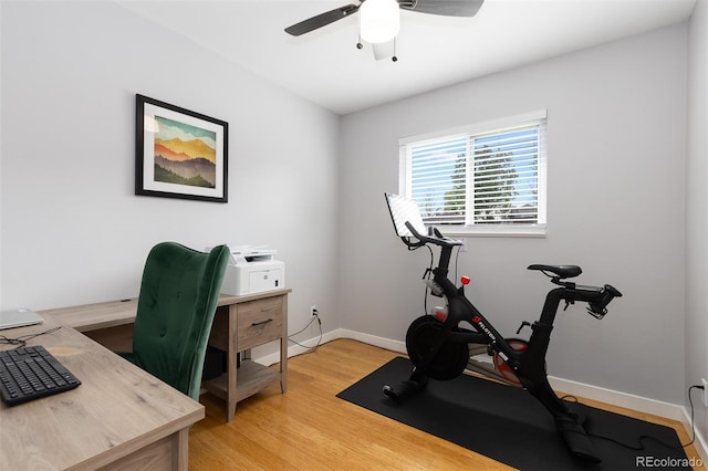 office featuring light wood-type flooring, a ceiling fan, and baseboards