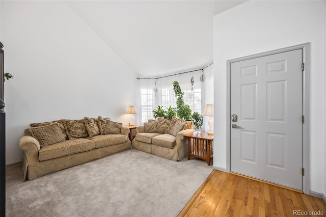 10530 Mount Columbia Pl, Parker, CO 80138 - living area featuring light wood-style flooring and high vaulted ceiling