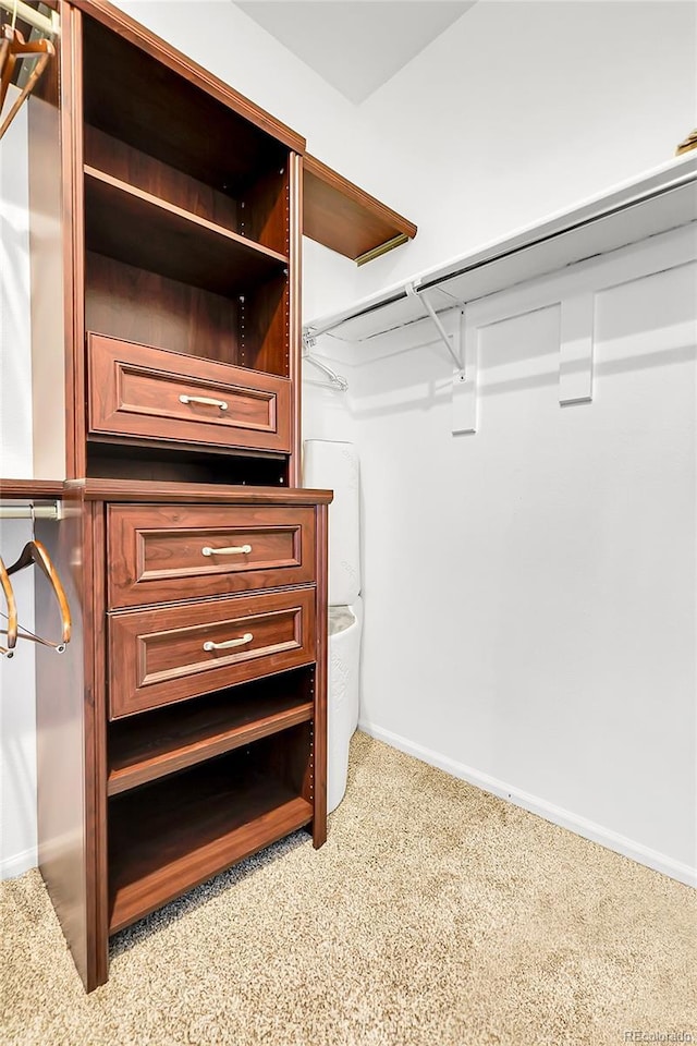 8317 S Pierce Way, Littleton, CO 80128 - photo 28