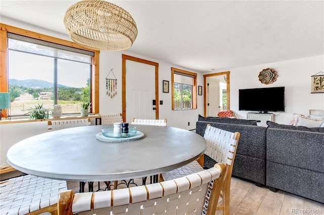 7845 US Highway 50, Howard, CO 81233 - photo 9