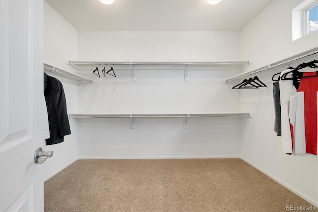 6692 S Robertsdale Way, Aurora, CO 80016 - spacious closet featuring carpet floors