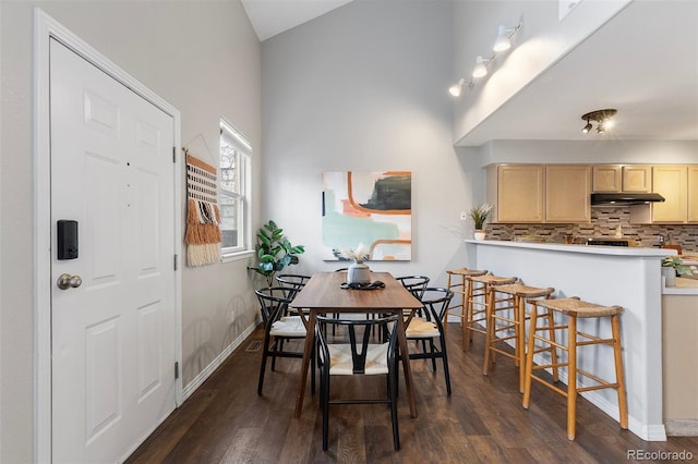 6450 W 44th Pl Unit B3, Wheat Ridge, CO 80033 - dining room featuring dark wood finished floors, baseboards, and high vaulted ceiling