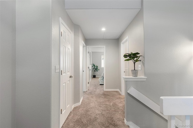 6450 W 44th Pl Unit B3, Wheat Ridge, CO 80033 - hall featuring carpet, attic access, and baseboards