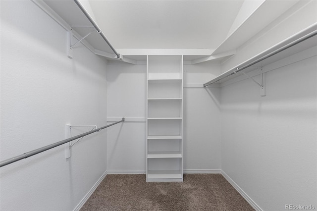 6450 W 44th Pl Unit B3, Wheat Ridge, CO 80033 - spacious closet with dark carpet