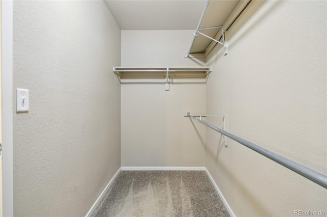 3034 Benfold St, Loveland, CO 80538 - photo 23