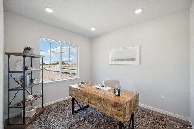 office with dark hardwood / wood-style floors