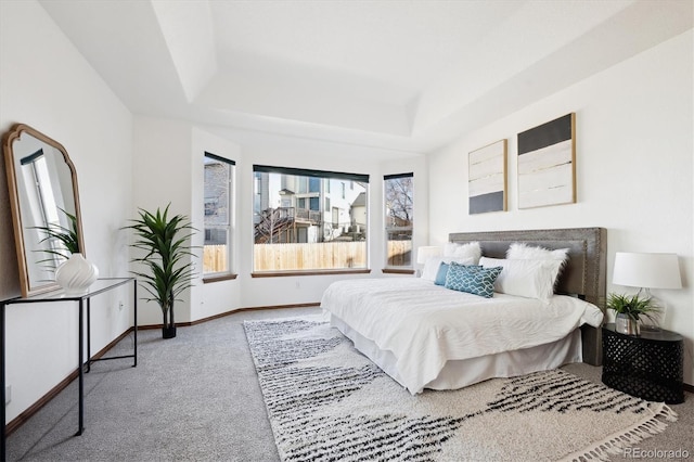 bedroom featuring carpet floors and a tray ceiling