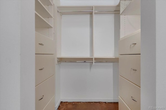 view of walk in closet