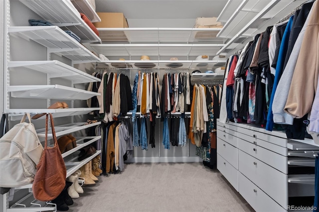 walk in closet with carpet flooring