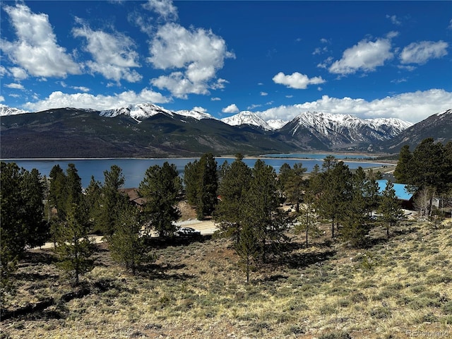 199 Twin Peaks Dr, Twin Lakes, CO 81251