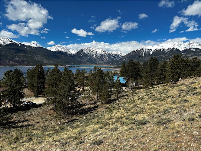 199 Twin Peaks Dr, Twin Lakes, CO 81251