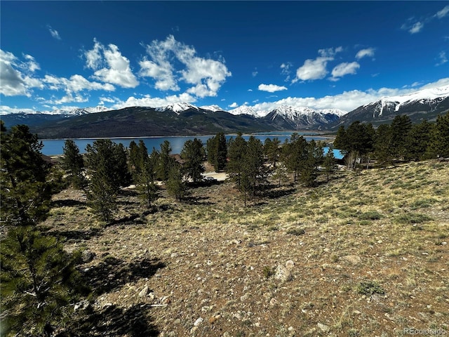 199 Twin Peaks Dr, Twin Lakes, CO 81251