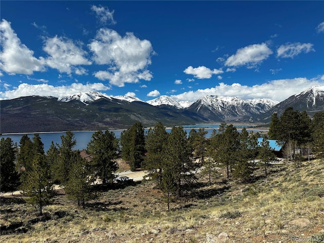 199 Twin Peaks Dr, Twin Lakes, CO 81251