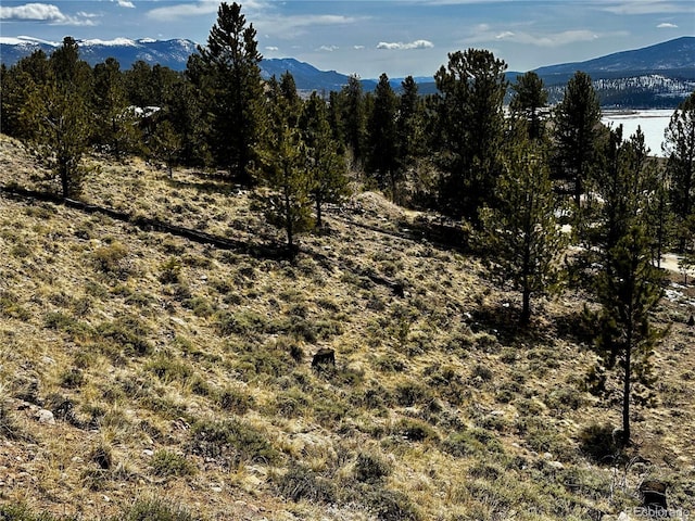 199 Twin Peaks Dr, Twin Lakes, CO 81251