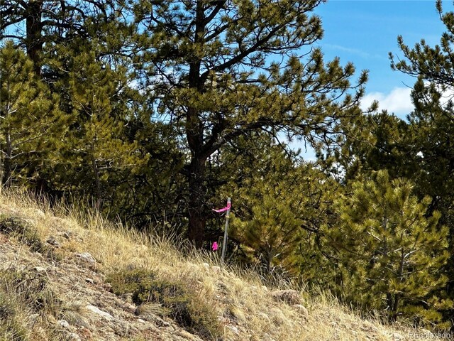 199 Twin Peaks Dr, Twin Lakes, CO 81251