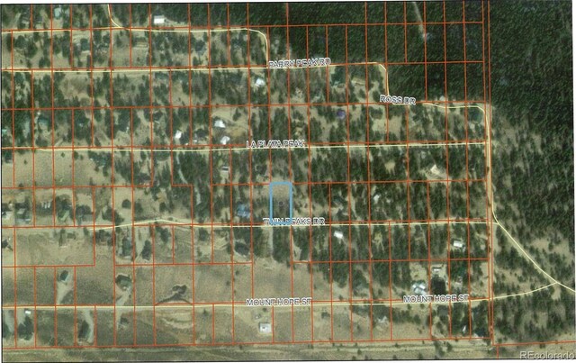 199 Twin Peaks Dr, Twin Lakes, CO 81251