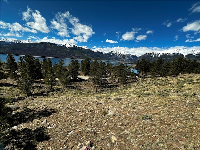 199 Twin Peaks Dr, Twin Lakes, CO 81251