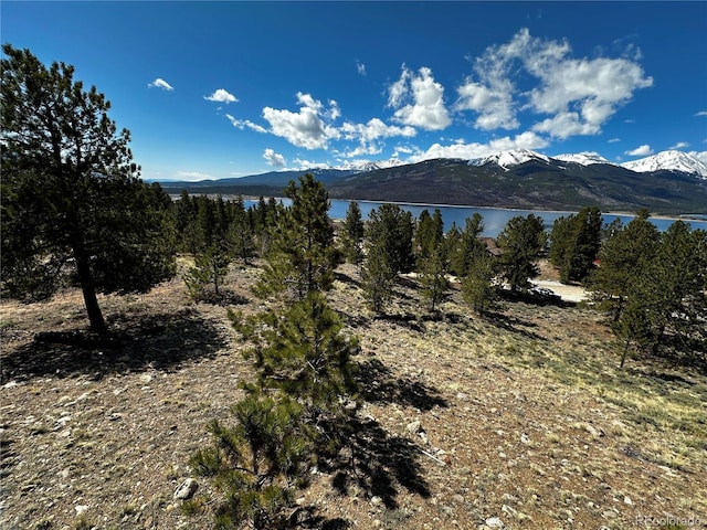 199 Twin Peaks Dr, Twin Lakes, CO 81251