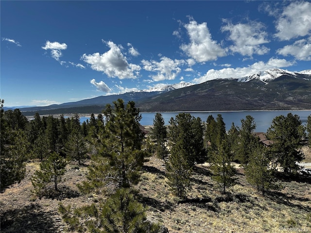 199 Twin Peaks Dr, Twin Lakes, CO 81251