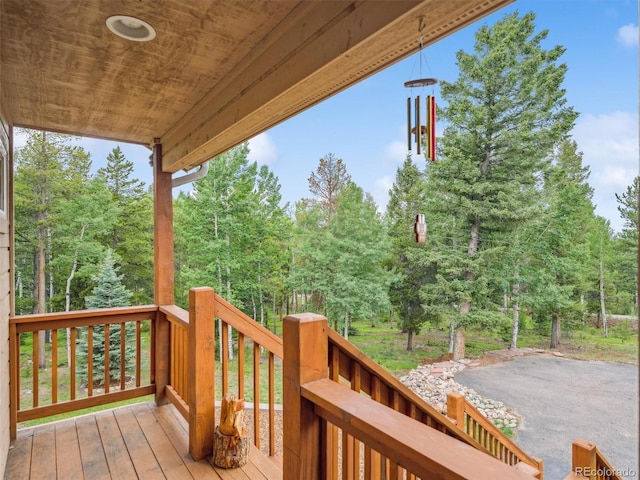 31361 Shadow Mountain Dr, Conifer, CO 80433 - photo 10