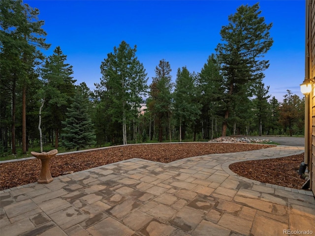 31361 Shadow Mountain Dr, Conifer, CO 80433 - photo 42