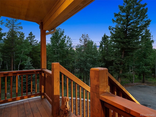 31361 Shadow Mountain Dr, Conifer, CO 80433 - photo 48