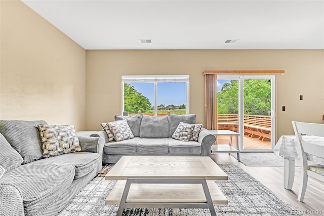 19463 E Hollow Creek Dr, Parker, CO 80134 - living room with light wood-style flooring