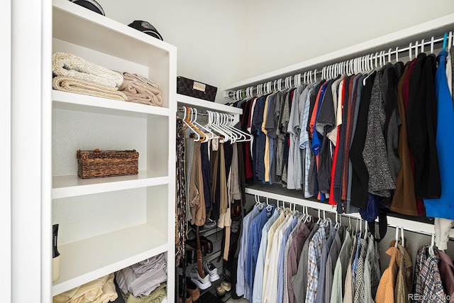 766 Dreamcatcher Ln, Evergreen, CO 80439 - view of spacious closet