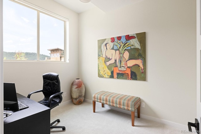 766 Dreamcatcher Ln, Evergreen, CO 80439 - office space featuring baseboards and carpet