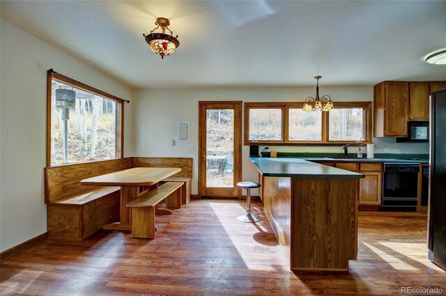 980 Mountain St, Silver Plume, CO 80476 - photo 9