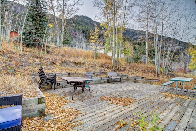 980 Mountain St, Silver Plume, CO 80476 - photo 22