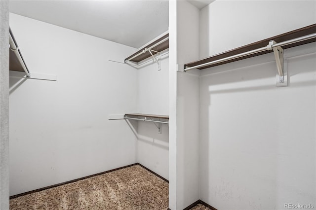 view of spacious closet
