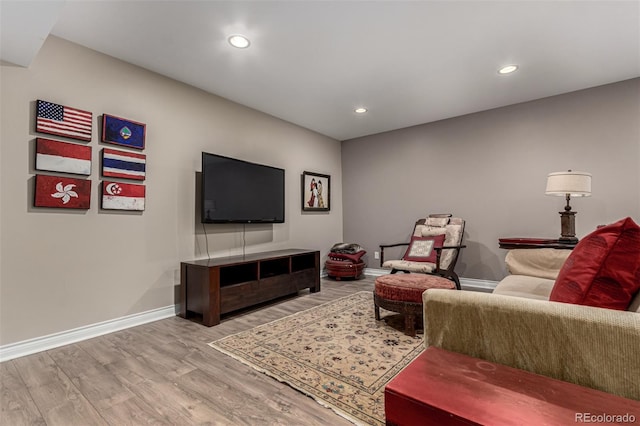 living room with wood-type flooring