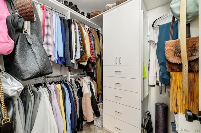 spacious closet with carpet floors