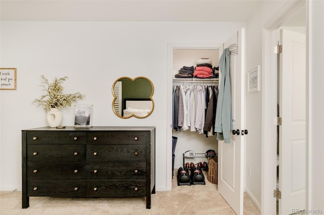 view of closet