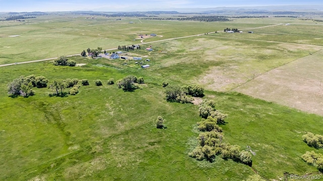 11675 Steele Ave, Elbert, CO 80106 - photo 27