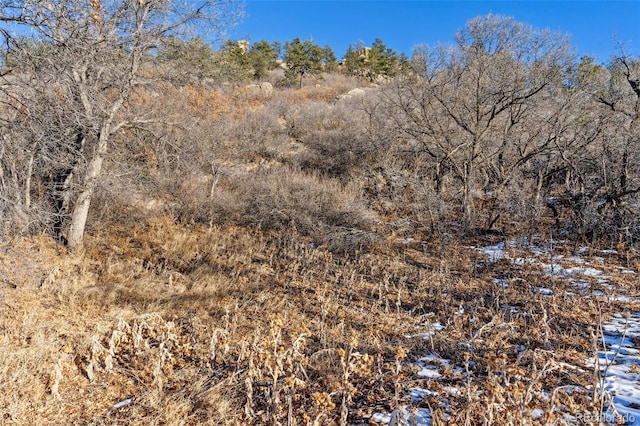 view of landscape