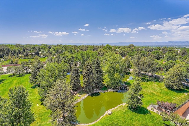 1900 E Girard Pl Unit 908, Englewood, CO 80113 - photo 30