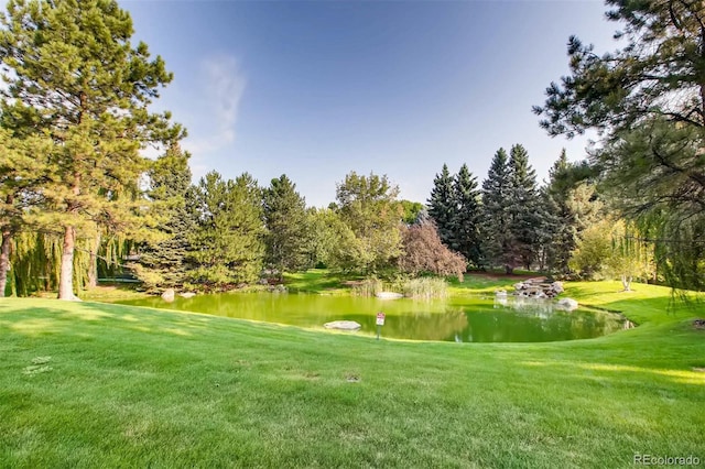 1900 E Girard Pl Unit 908, Englewood, CO 80113 - photo 36