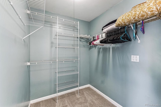8641 Lowell Blvd, Westminster, CO 80031 - spacious closet with carpet floors
